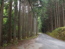 Hanase - Mountain Road 1
